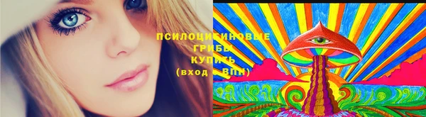 прущие грибы Аркадак