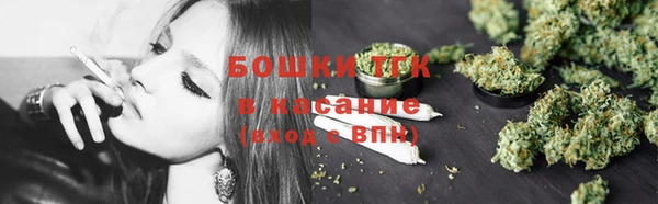 прущие грибы Аркадак