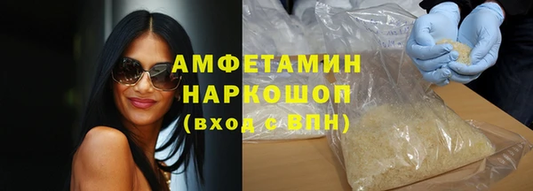 прущие грибы Аркадак