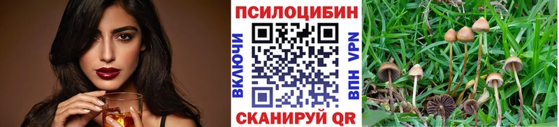Псилоцибиновые грибы Cubensis  Невинномысск 
