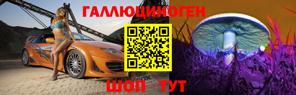 Галлюциногенные грибы Psilocybe Невинномысск