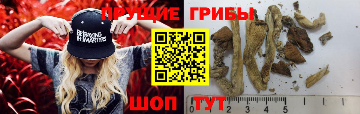 Псилоцибиновые грибы мицелий  Вход с VPN  Невинномысск  Галлюциногенные грибы мицелий 